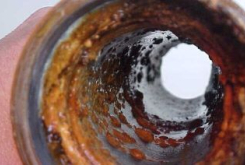 Food Industry - Biofilm