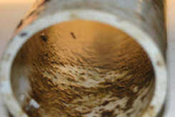 Public Health Industry - Biofilm