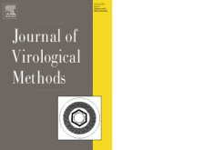 Journal of Virological Methods 85.1 (2000): 163-174