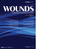 Wounds 27.10 (2015): 265-273