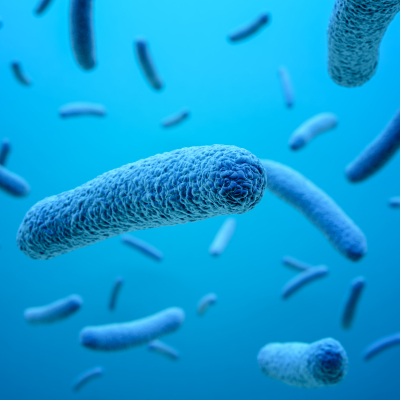 Legionella Prevention for Water System