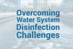 Overcoming Water System Disinfection Challenges
